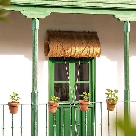 Apartamento A Estrenar En Calle Alcazares Séville Extérieur photo